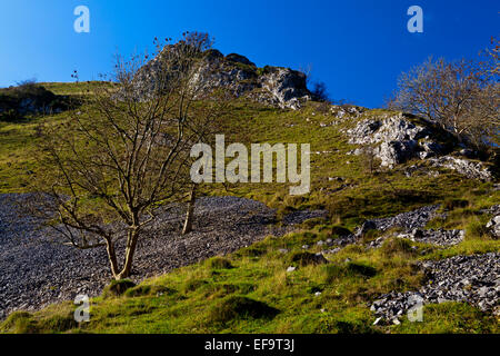 Rocce calcaree a Biggin Dale vicino a Hartington in bianco area di picco Peak District National Park Derbyshire Dales England Regno Unito Foto Stock