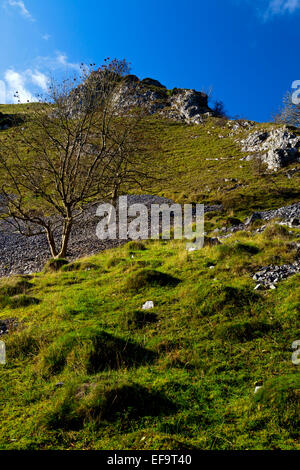 Rocce calcaree a Biggin Dale vicino a Hartington in bianco area di picco Peak District National Park Derbyshire Dales England Regno Unito Foto Stock