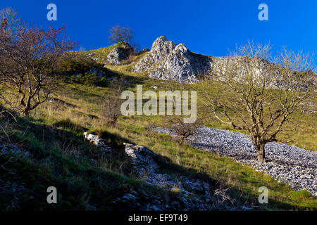 Rocce calcaree a Biggin Dale vicino a Hartington in bianco area di picco Peak District National Park Derbyshire Dales England Regno Unito Foto Stock