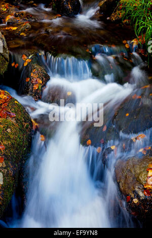 Cascata in autunno a Hardcastle Crags una valle boscosa vicino a Hebden Bridge nel West Yorkshire England Regno Unito Foto Stock