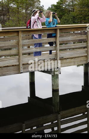 Gli amanti del birdwatching a Wakodahatchee zone umide, Delray Beach, Palm Beach County, Florida Foto Stock