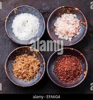 Diversi tipi di alimenti sale grosso in ciotole di ceramica su sfondo scuro Foto Stock