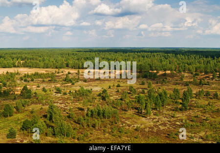 Volo in elicottero su un luogo di inizio e la fine di automobile rally-raid " Bielorussia - Baha - 2014'. Foto Stock