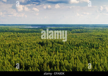 Volo in elicottero su un luogo di inizio e la fine di automobile rally-raid " Bielorussia - Baha - 2014'. Foto Stock