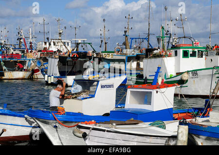 Barche da pesca del porto di Trapani, Sicilia, Italia Foto Stock