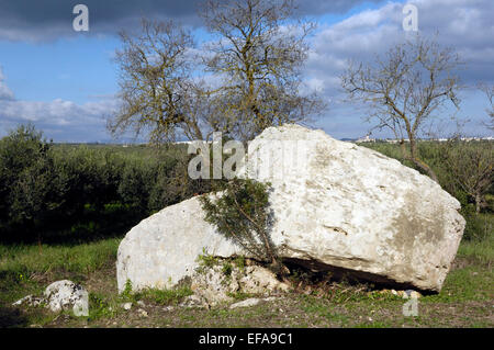 Abbandonato V secolo a.c. la colonna cilindrica del tamburo a blocchi le antiche cave di grotta de Cusa. Selinunte. Sicilia. Italia Foto Stock