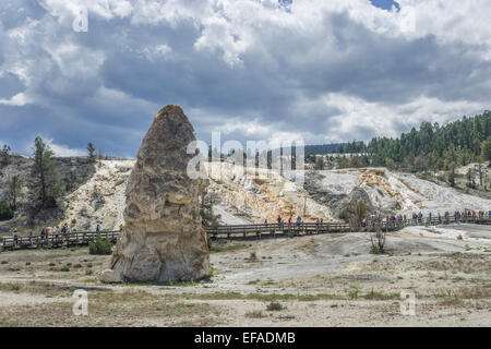 Terrazze di agglomerato della terrazza inferiore, Mammoth Hot Springs, il parco nazionale di Yellowstone, Wyoming negli Stati Uniti Foto Stock