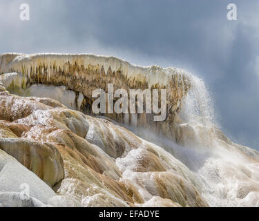 Terrazze di agglomerato della terrazza inferiore, Mammoth Hot Springs, il parco nazionale di Yellowstone, Wyoming negli Stati Uniti Foto Stock