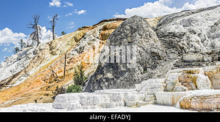 Terrazze di agglomerato della terrazza inferiore, Mammoth Hot Springs, il parco nazionale di Yellowstone, Wyoming negli Stati Uniti Foto Stock