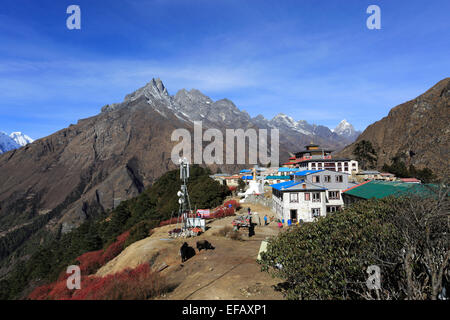 Vista su Tengboche village, Campo Base Everest trek, Sito Patrimonio Mondiale dell'UNESCO, il Parco Nazionale di Sagarmatha, Solu-Khumbu distretto, Foto Stock
