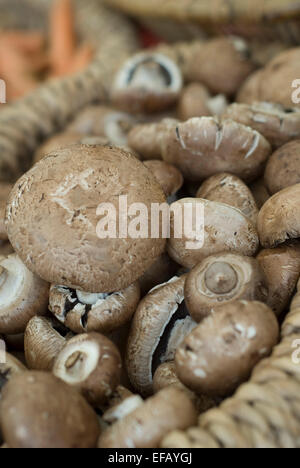 Funghi Alimenti per bambini Festival Abingdon 2007 - Terra fiducia Foto Stock