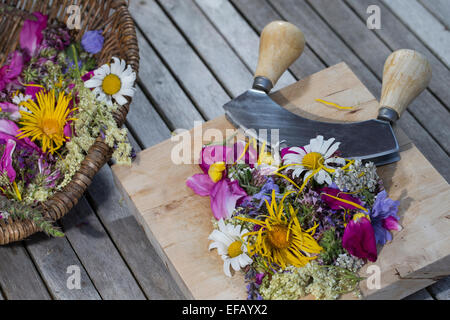 Blossoms, fiori, fiori, petali, coltello tritante culla, l'attrezzo oscillante, essbare Blüten, Blumen, Ernte, Wiegemesser, Messer Foto Stock