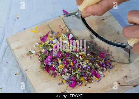 Blossoms, fiori, fiori, petali, coltello tritante culla, l'attrezzo oscillante, essbare Blüten, Blumen, Ernte, Wiegemesser, Messer Foto Stock