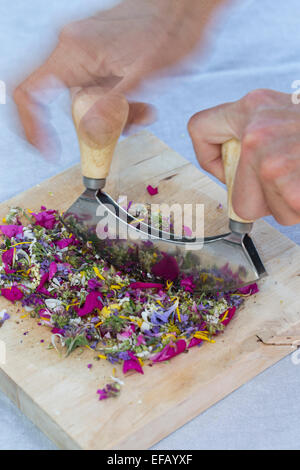 Blossoms, fiori, fiori, petali, coltello tritante culla, l'attrezzo oscillante, essbare Blüten, Blumen, Ernte, Wiegemesser, Messer Foto Stock