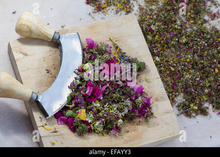 Blossoms, fiori, fiori, petali, coltello tritante culla, l'attrezzo oscillante, essbare Blüten, Blumen, Ernte, Wiegemesser, Messer Foto Stock