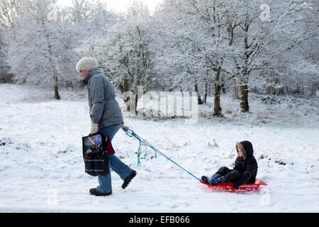 Coperta di neve baddesley ensor nel nord Warwickshire, Regno Unito. Un bambino è sledged a scuola lungo la collina di chiavi da un adulto Foto Stock