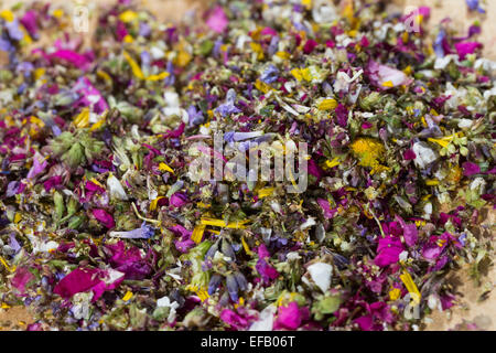 Blossoms, fiori, fiori, petali, coltello tritante culla, l'attrezzo oscillante, essbare Blüten, Blumen, Ernte, Wiegemesser, Messer Foto Stock