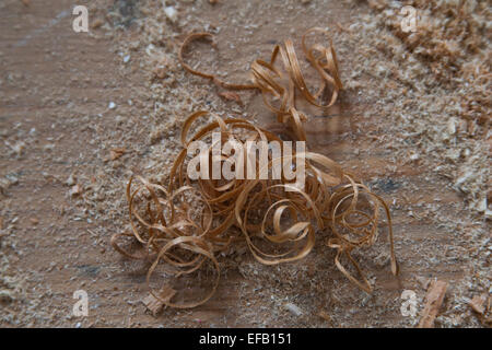 Il risultato di carpenteria - ricci di trucioli di legno e segatura su fondo di legno. Foto Stock