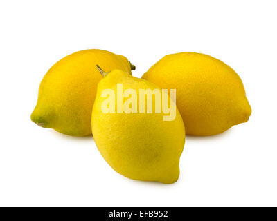 limoni Foto Stock