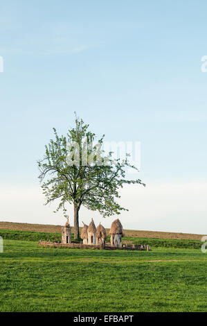 Ucraino alveari in legno in un campo sotto un albero in Pirogovo vicino a Kiev Foto Stock