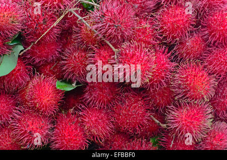 Rambutan Display di frutta per vendere su piccola strada In Malwana Foto Stock