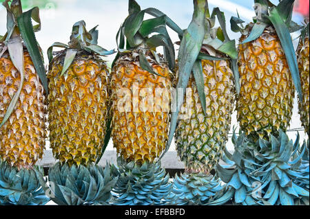 Ananas frutta Display per vendere su piccola strada In Malwana Foto Stock