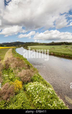 Fiume Don vicino Monymusk in Scozia. Foto Stock