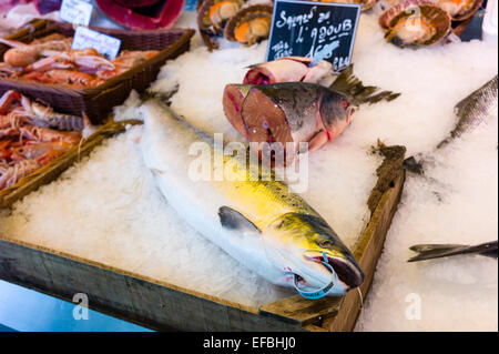 Pesce fresco sul ghiaccio nel mercato francese a Parigi Francia Foto Stock