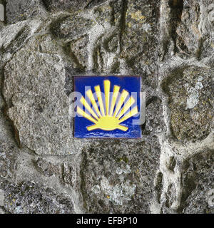 Pellegrino la Shell (smerlo), il simbolo del cammino di san Giacomo di Tui, Galizia, Spagna. Foto Stock