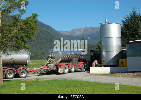 Una petroliera di latte dal Westland latte Cooperativa Agricoltori raccoglie il latte dal West Coast latteria, Isola del Sud, Nuova Zelanda Foto Stock