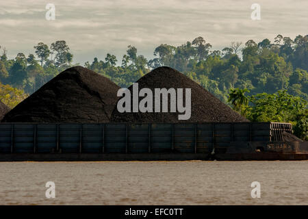 Chiatta di carbone sul fiume Segah in Tanjung Redeb, Berau, Kalimantan orientale, Indonesia. Foto Stock