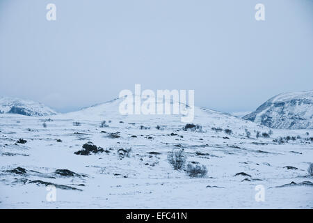Paesaggio di montagna in Dovrefjell National Park Foto Stock