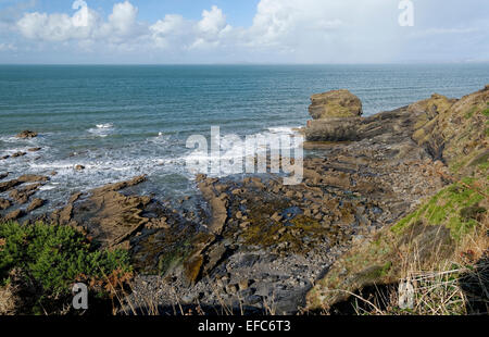 Ampia Haven (Aber Llydan in Welsh) è un villaggio e la località balneare di St sposa's Bay nel South Pembrokeshire, Galles Foto Stock