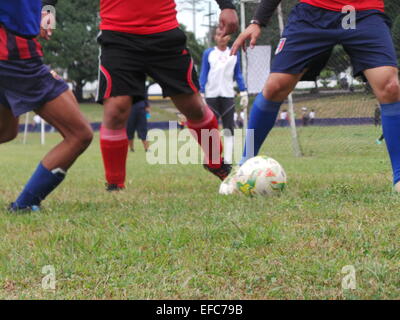 Taguig City, Filippine. 31 gennaio, 2015. Circa 700 bambini, adolescenti e adulti da 54 diverse squadre di calcio e di advocacy group (la composizione delle squadre di calcio dagli orfanotrofi e scuole) unisce il 4° annuale Comandante della coppa di calcio svoltasi a Marino caserme in Taguig City. L'evento di calcio è il preludio al grande evento ribattezzato come "Calcio per la pace" in aprile in cui i bambini provenienti da zone di conflitto a Mindanao quali Basilan, Sulu e Tawi-Tawi - sono unite insieme per promuovere la pace e non la guerra. "Calcio per la pace" è un programma di advocacy del Philippine Marines per rimuovere lo stigma della guerra tra ki Foto Stock