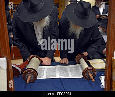 La Torah e la lettura durante le vacanze le preghiere del mattino in una sinagoga a Brooklyn, New York Foto Stock