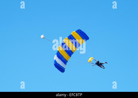 North Wollongong, NSW, Australia - Gennaio 7th, 2015: due paracadutisti, lo skydiving in tandem e oltre a nord Wollongong Beach. Foto Stock