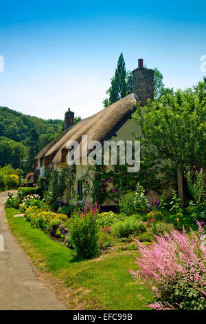 Un pittoresco cottage con tetto in paglia e il giardino di Dunster, Somerset, Inghilterra, Regno Unito Foto Stock
