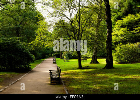 Golden Acre Park, Bramhope, vicino a Leeds, West Yorkshire, Inghilterra, Regno Unito Foto Stock