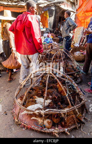 I polli vivi per la vendita nel Merkato, Addis Abeba, Etiopia Foto Stock