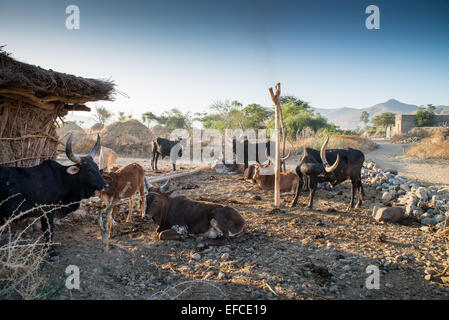 Casa rurale nel paesaggio, Abala, Afar, Etiopia, Africa Foto Stock