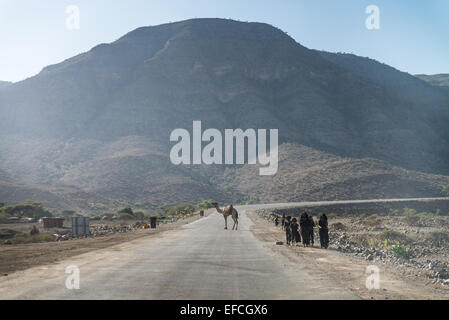 Danakil deserto, Etiopia, Africa. Foto Stock