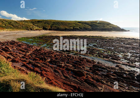 Manorbier, Pembrokeshire, Il Galles ha una grande e bellissima baia di spazzamento e di attrazione turistica al di sotto del cielo aperto. Foto Stock