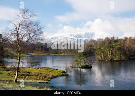 Paesaggio invernale intorno al Tarn Hows nel distretto del lago, Cumbria, Inghilterra, Regno Unito. Foto Stock