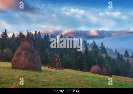 Da soli pagliaio in foggy mountain Foto Stock