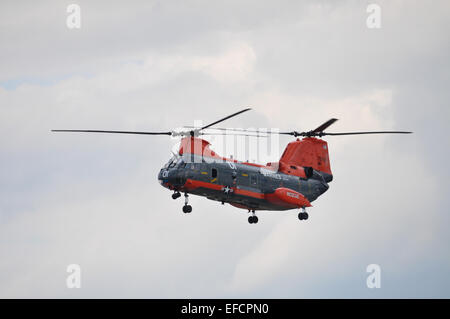 Un CH-46 Sea Knight elicottero volando al Cherry Point Airshow di ICM. Foto Stock