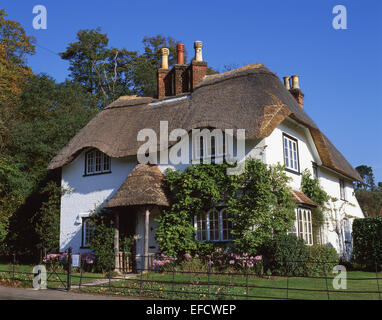 Cottage a verde del cigno, Lyndhurst, New Forest, Hampshire, Inghilterra, Regno Unito Foto Stock
