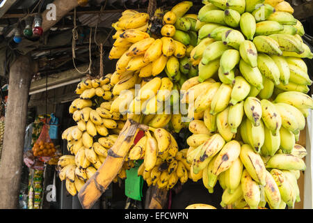 A Città di Ella nelle Highlands di Sri Lanka.High Street general store negozio di frutta fresca. Banana,banane,cibo,ananas, Foto Stock