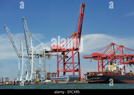 Bracci di heavy duty contenitore gru e nave dockside in Durban Harbour, KwaZulu-Natal, Sud Africa Foto Stock