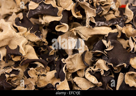 Funghi secchi in Jing Ye Co negozio di generi alimentari a Stockton nella Chinatown di San Francisco, California. Foto Stock