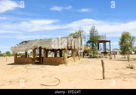 Marree Cameleer afgano moschea, Marree, Sud Australia Foto Stock